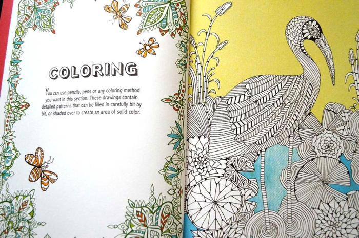 adult-coloring-book-antistress-creative-therapy-hannah-davies-richard-merritt-jo-taylor-6