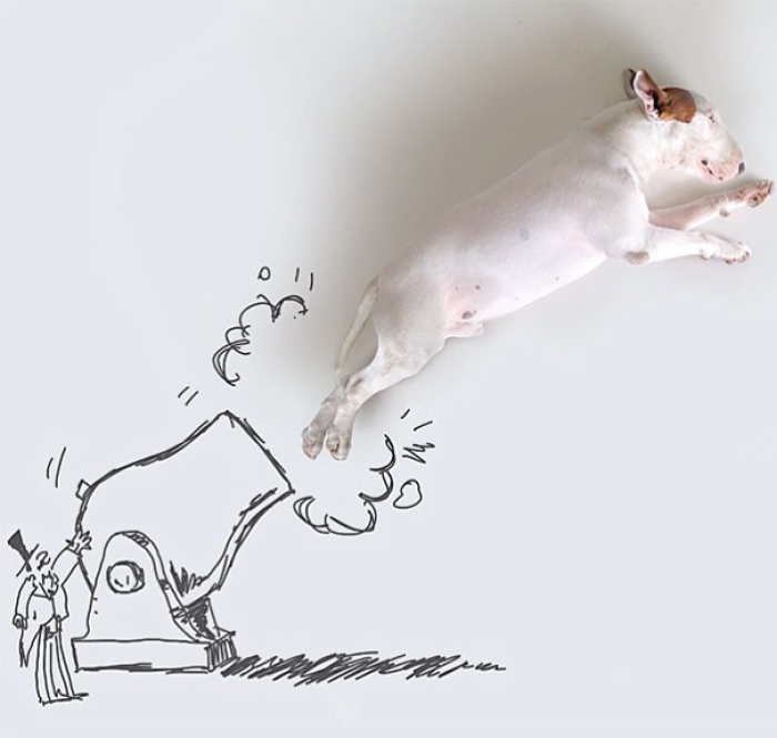 dog-interactive-illustrations-jimmy-choo-rafael-mantesso-16