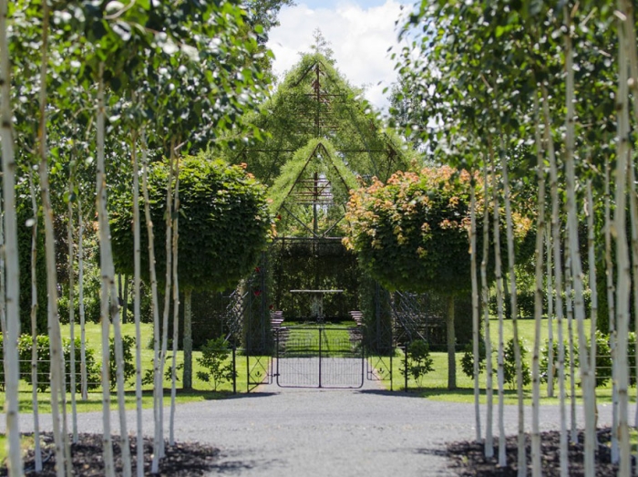 living-growing-instalation-tree-church-barry-cox-7
