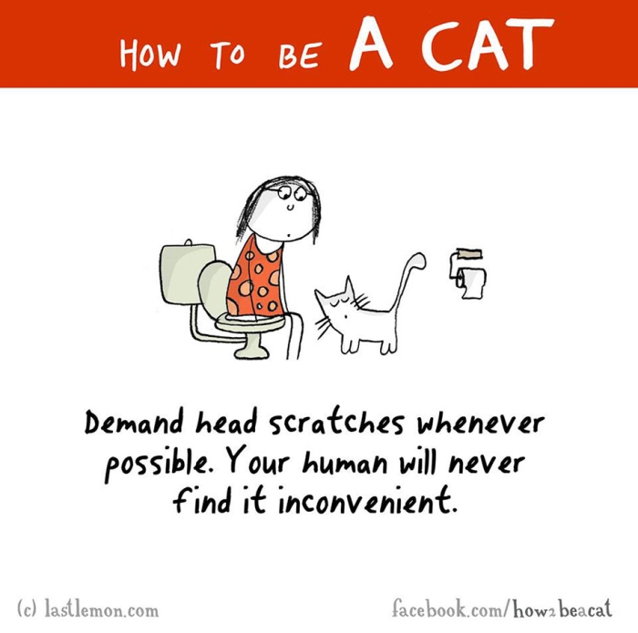 funny-illustration-guide-how-to-be-cat-lisa-swerling-ralph-lazar-88