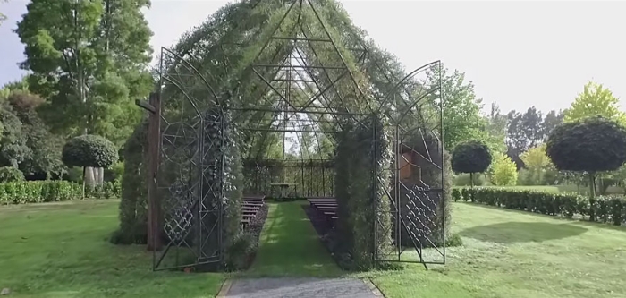 living-growing-instalation-tree-church-barry-cox-2