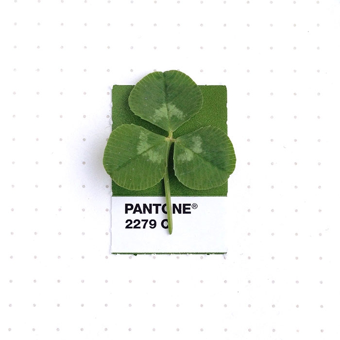 pantone-matches-tiny-pms-match-inka-mathew-53