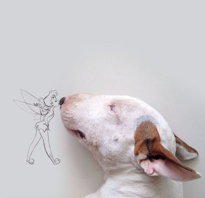 dog-interactive-illustrations-jimmy-choo-rafael-mantesso-26