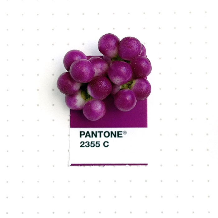 pantone-matches-tiny-pms-match-inka-mathew-39