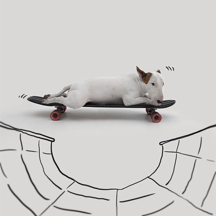 dog-interactive-illustrations-jimmy-choo-rafael-mantesso-10
