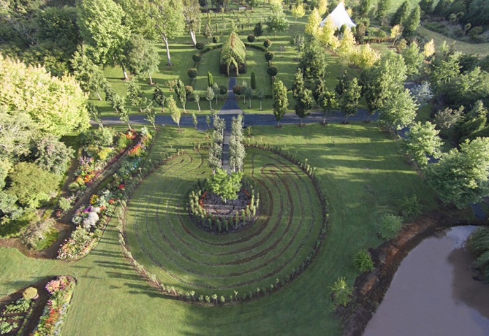 living-growing-instalation-tree-church-barry-cox-6
