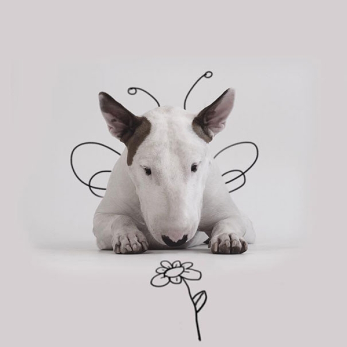 dog-interactive-illustrations-jimmy-choo-rafael-mantesso-9