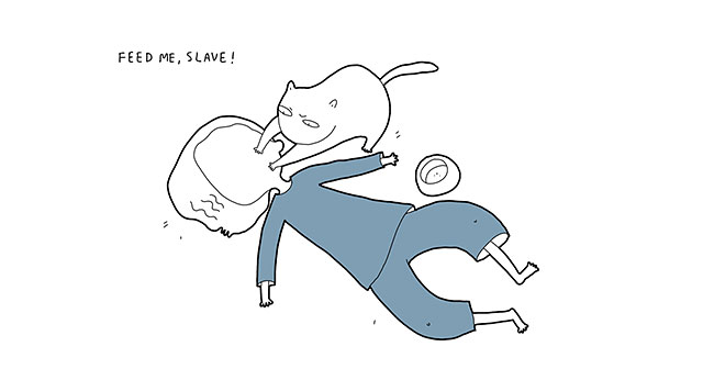 What If Cats Could Speak
