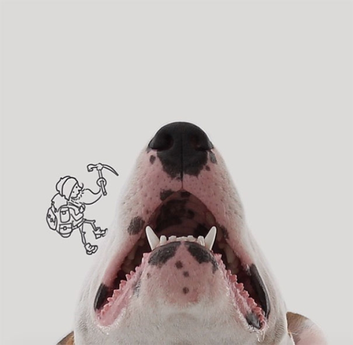 dog-interactive-illustrations-jimmy-choo-rafael-mantesso-17