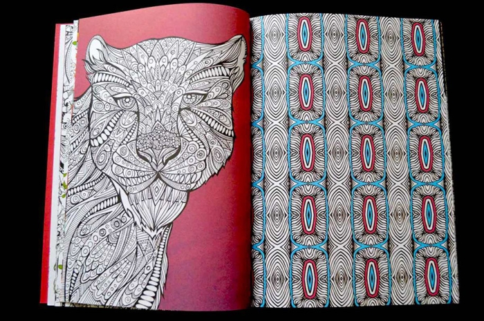 adult-coloring-book-antistress-creative-therapy-hannah-davies-richard-merritt-jo-taylor-8