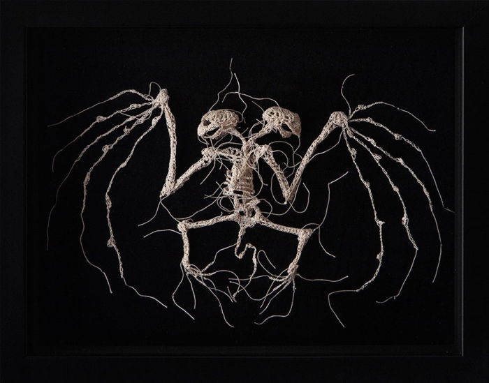 disturbing-crocheted-yarn-glue-animal-skeletons-caitlin-mccormack-8