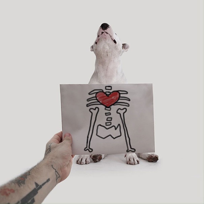 dog-interactive-illustrations-jimmy-choo-rafael-mantesso-5