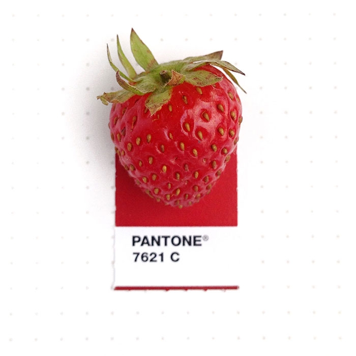 pantone-matches-tiny-pms-match-inka-mathew-63