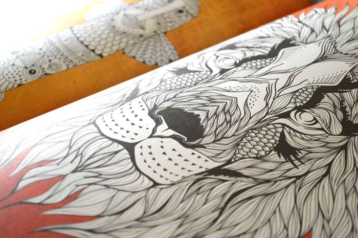adult-coloring-book-antistress-creative-therapy-hannah-davies-richard-merritt-jo-taylor-11