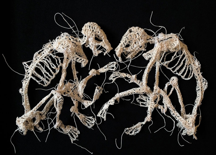 disturbing-crocheted-yarn-glue-animal-skeletons-caitlin-mccormack-7