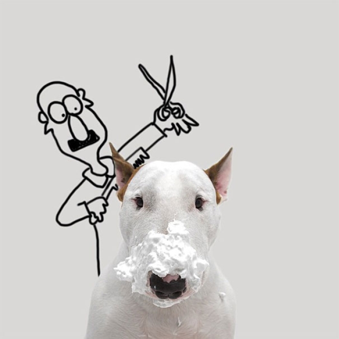 dog-interactive-illustrations-jimmy-choo-rafael-mantesso-18