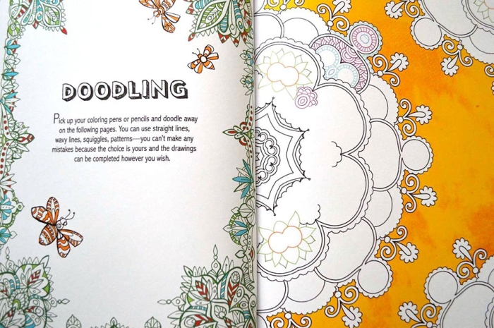 adult-coloring-book-antistress-creative-therapy-hannah-davies-richard-merritt-jo-taylor-10