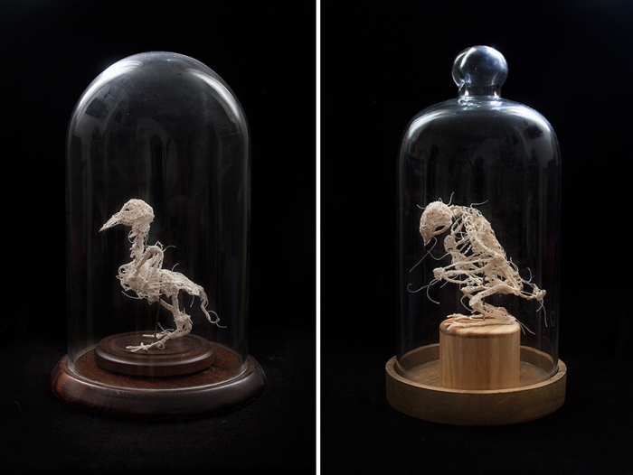 disturbing-crocheted-yarn-glue-animal-skeletons-caitlin-mccormack-12