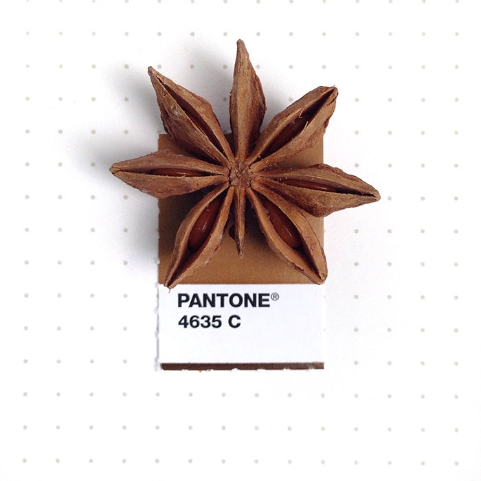 pantone-matches-tiny-pms-match-inka-mathew-14