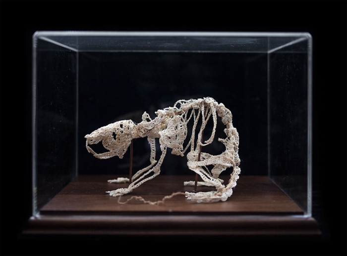 disturbing-crocheted-yarn-glue-animal-skeletons-caitlin-mccormack-6