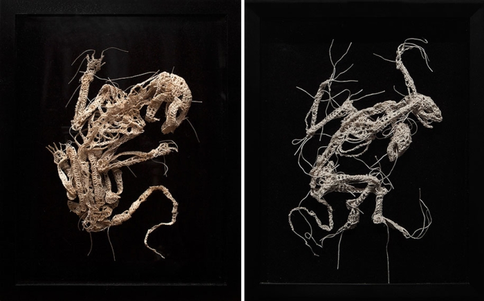disturbing-crocheted-yarn-glue-animal-skeletons-caitlin-mccormack-13