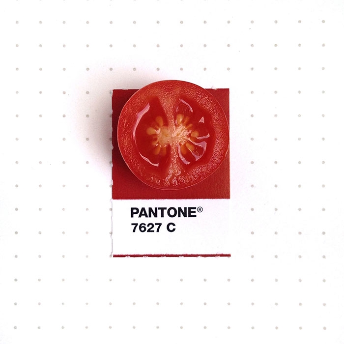 pantone-matches-tiny-pms-match-inka-mathew-17
