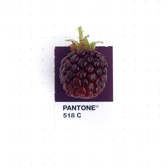 pantone-matches-tiny-pms-match-inka-mathew-64