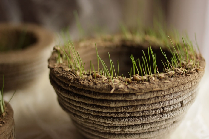 green-printer-soil-grass-garden-printgreen-university-maribor-slovenia-2