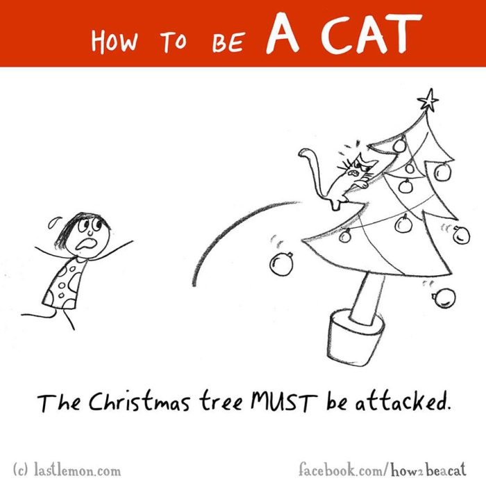 funny-illustration-guide-how-to-be-cat-lisa-swerling-ralph-lazar-77