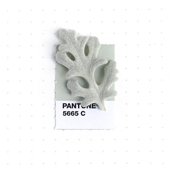 pantone-matches-tiny-pms-match-inka-mathew-37