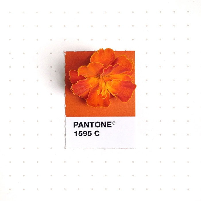 pantone-matches-tiny-pms-match-inka-mathew-7