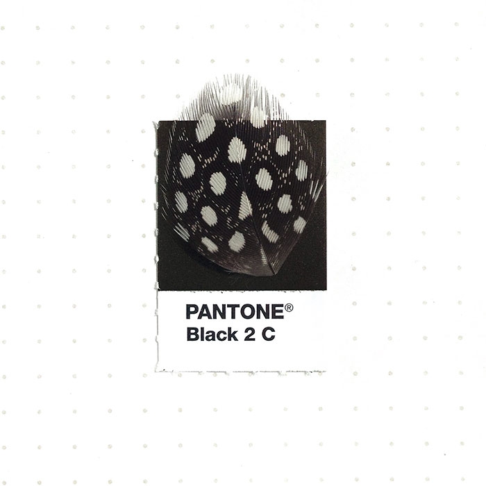 pantone-matches-tiny-pms-match-inka-mathew-58