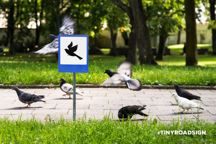 city-animal-crossing-signs-tiny-roadsign-clinic212-6