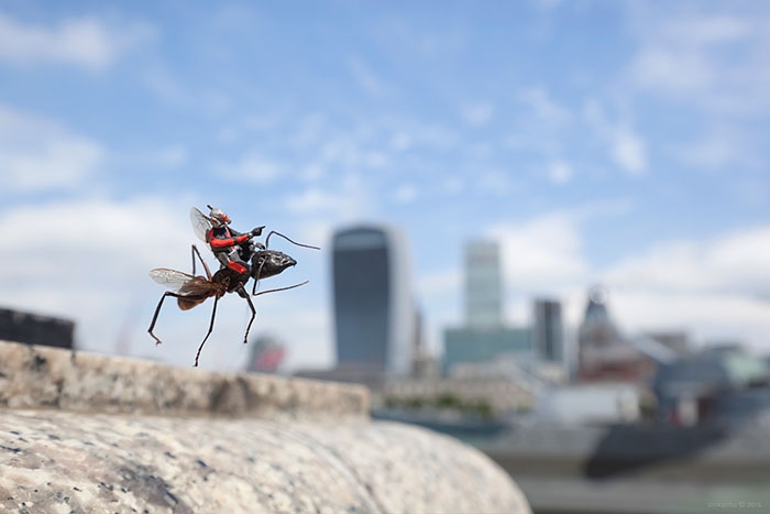 tiny-superhero-model-antman-movie-instalation-slinkachu-8