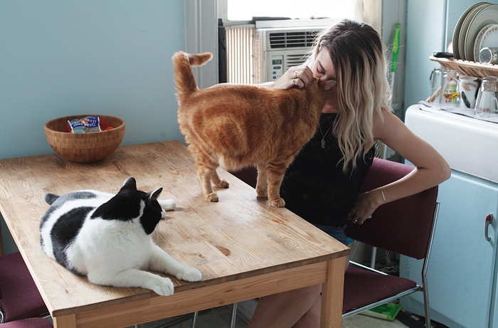 portrait-photography-girls-and-their-cats-brianne-wills-16
