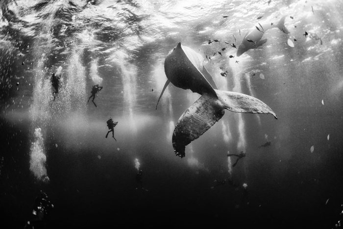 nature-winners-2015-national-geographic-traveler-photo-contest-10