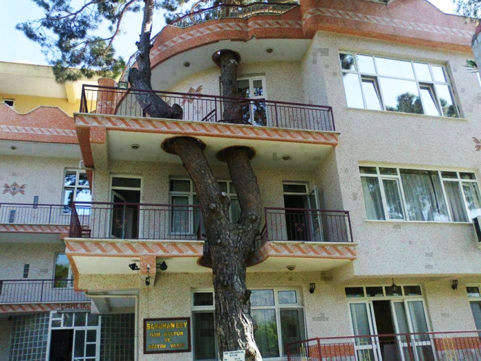 green-architecture-houses-built-around-trees-5