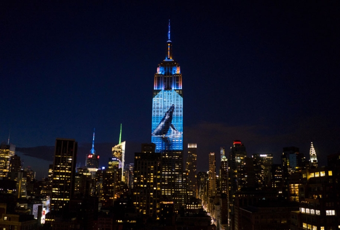 cecil-lion-endangered-species-projecting-change-empire-state-building-obscura-digital-10