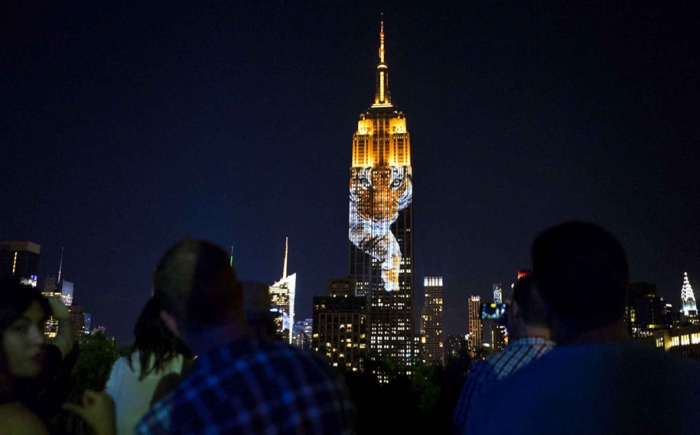 cecil-lion-endangered-species-projecting-change-empire-state-building-obscura-digital-8