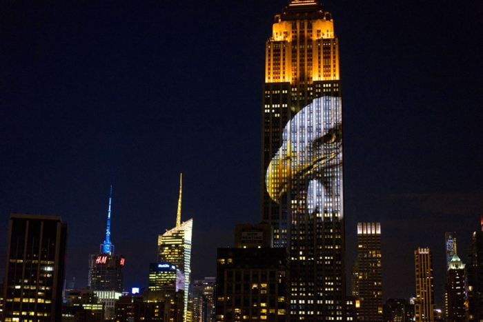 cecil-lion-endangered-species-projecting-change-empire-state-building-obscura-digital-19