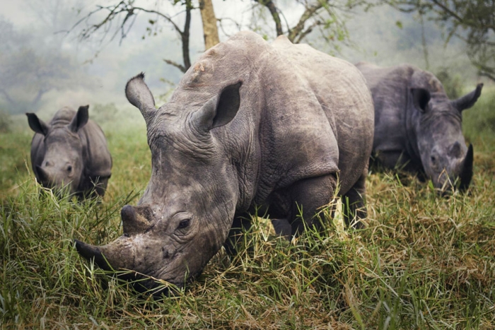nature-winners-2015-national-geographic-traveler-photo-contest-6