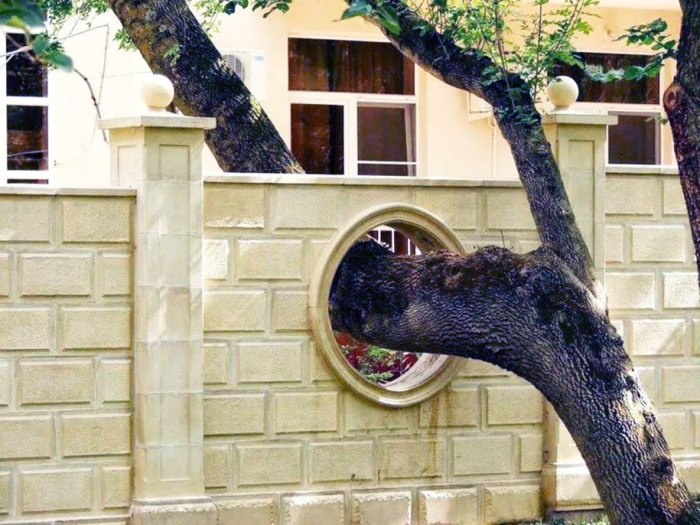 green-architecture-houses-built-around-trees-7
