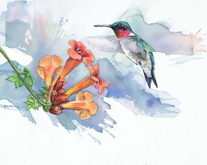 biologist-waterpainting-birds-anne-balogh-6