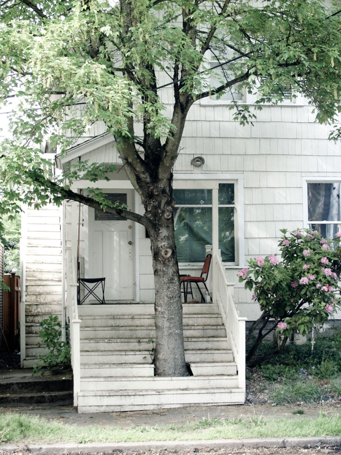 green-architecture-houses-built-around-trees-6