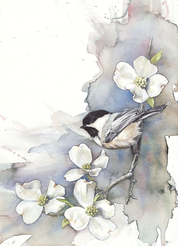 biologist-waterpainting-birds-anne-balogh-4
