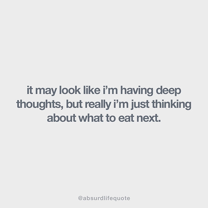 relatable-absurd-life-quotes-15