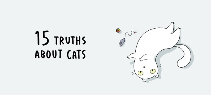 funny-15-illustrated-cat-truths-lingvistov-1