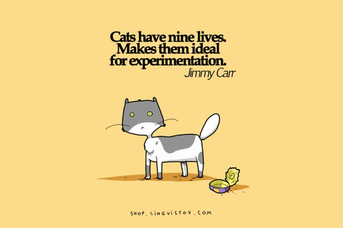funny-15-illustrated-cat-truths-lingvistov-13