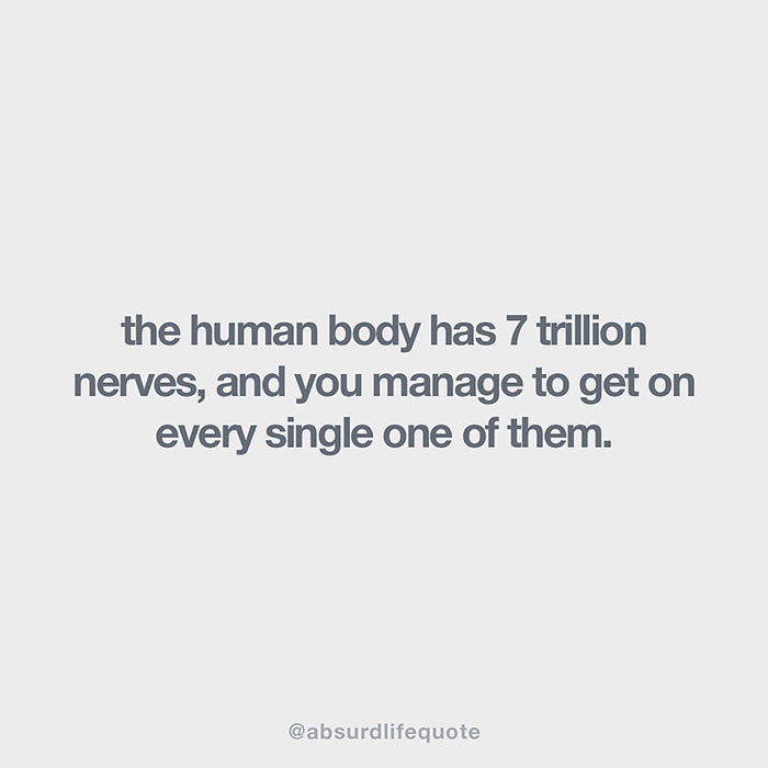 relatable-absurd-life-quotes-3