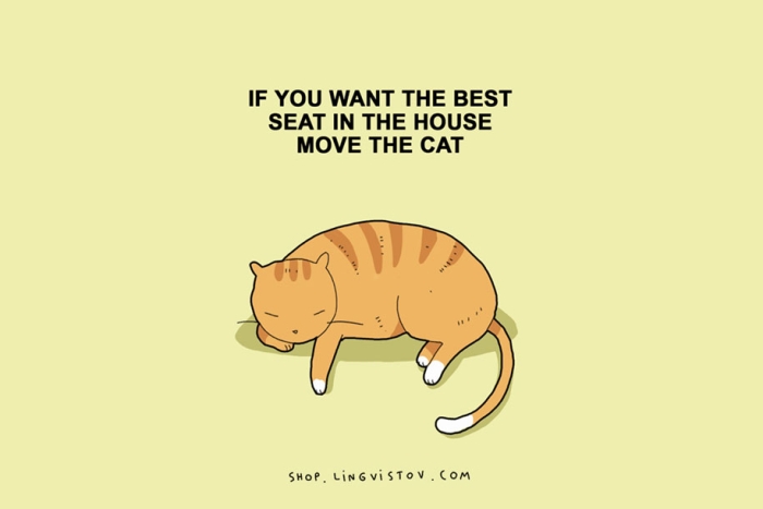 funny-15-illustrated-cat-truths-lingvistov-2